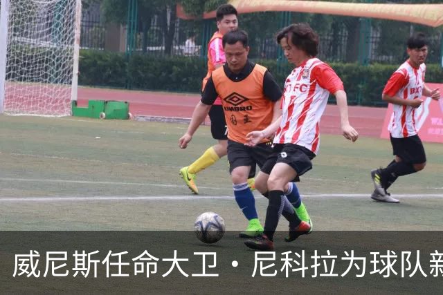 威尼斯任命大卫·尼科拉为球队新帅，面临艰难局面